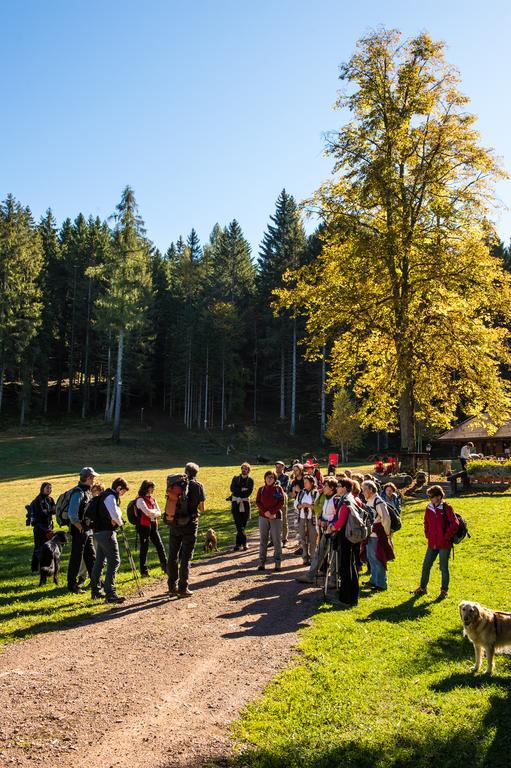 Hostel L'Ost - Ostello Di Grumes Zewnętrze zdjęcie
